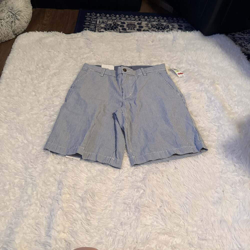 IZOD Sandy Bay Seersucker Blue and White Striped‎ Shorts 30 waist 10.5” inseam
